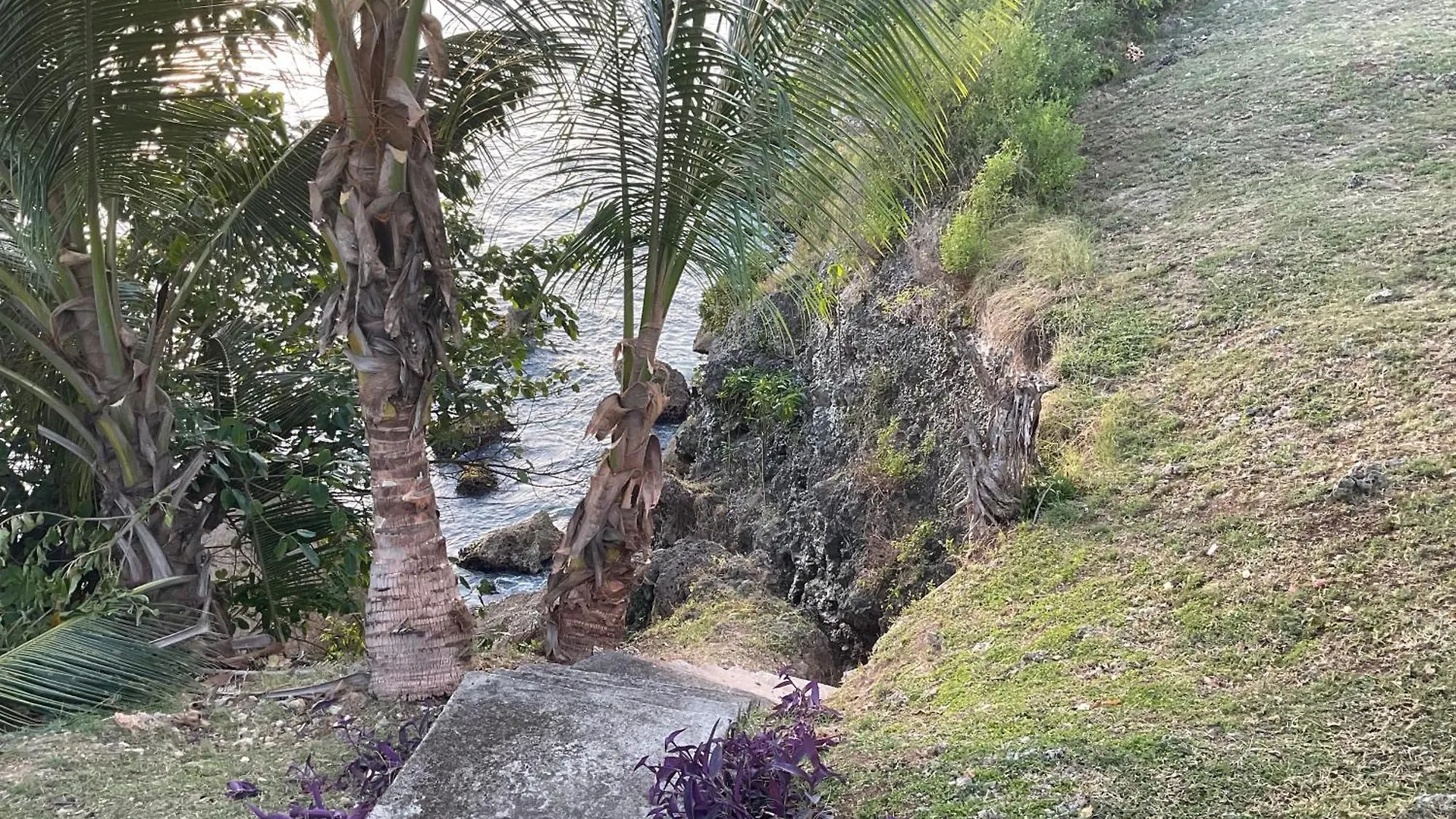 Promontoire Design Sur Mer Le Gosier  Guadeloupe